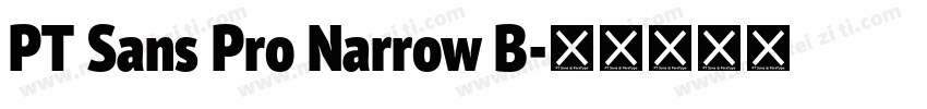PT Sans Pro Narrow B字体转换